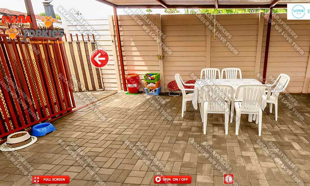 Play Area