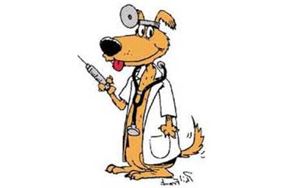 Dog vaccinate