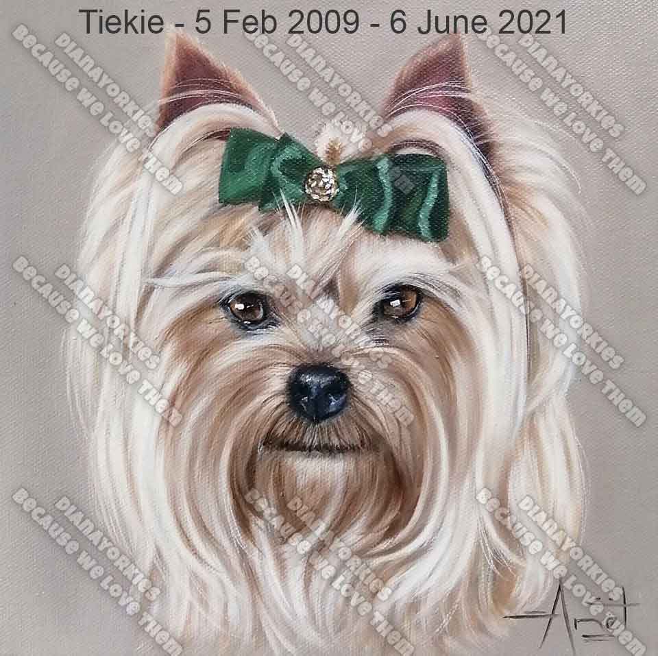 Tiekie