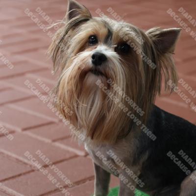Penny-Lou